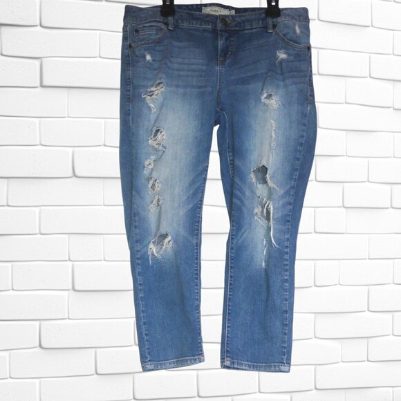 Torrid (Size 14) Plus Size Distressed Blue Denim Jeans - Picture 2 of 3